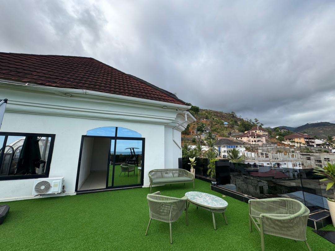 Rooftop View